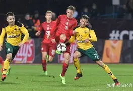 包含立陶宛队挽回败局，欧预赛晋级前景一片大好的词条