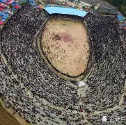 精彩纷呈！欧预赛激烈角逐引无数球迷狂热的简单介绍