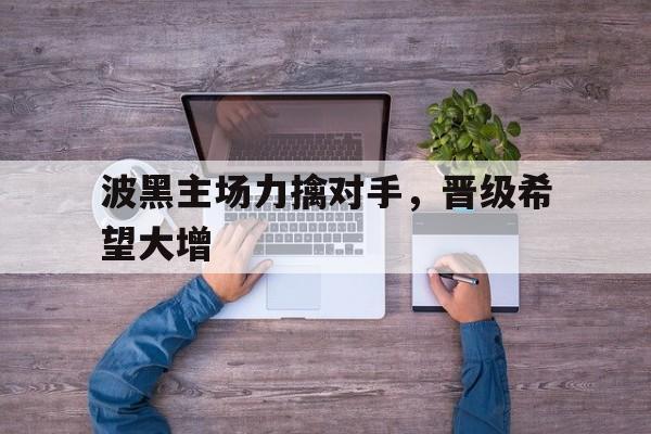 波黑主场力擒对手，晋级希望大增(2025年一季度业绩预告大增上市公司)