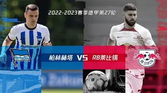 C7娱乐app下载-柏林赫塔新球场效果图